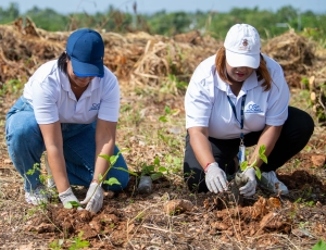 DIGECOG y Medio Ambiente impulsan reforestación ante desafíos ambientales